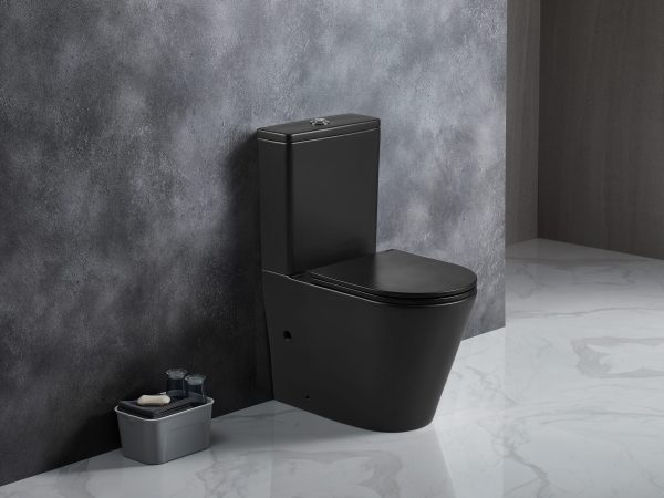 PANI Rimless Back to Wall Toilet Suite