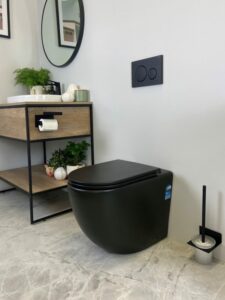 Concealed Cistern Toilets