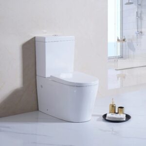 Rimless Toilets