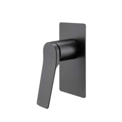 Brushed Gunmetal RUSHY Wall Mixer
