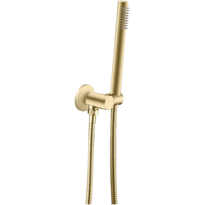 Light Brushed Brass Shower Rail with Handheld Shower